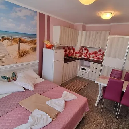 Admiral Plaza A 11 Sunny Sunny Beach